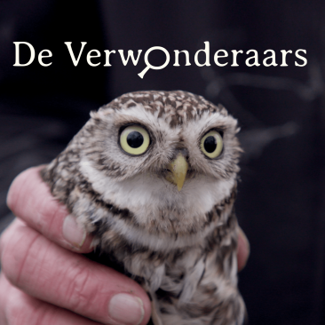 De Verwonderaars